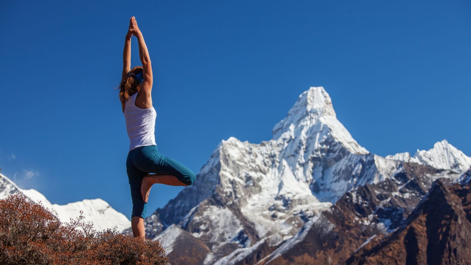 Value for Money Boosts Wellness, so Help your Travel Money Customers Save.